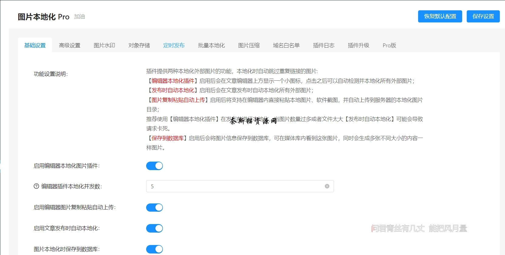 nicen-localize-image-pro